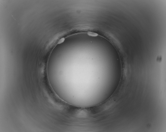 X0000112200115200908141443