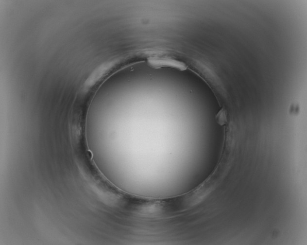 X0000112200116200908141443