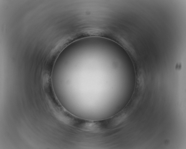 X0000112200117200908141443