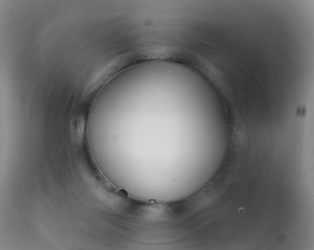 X0000112200118200908141443