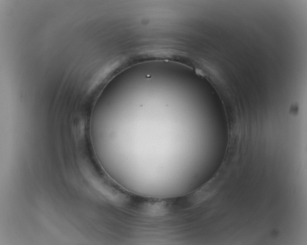 X0000112200120200908141443