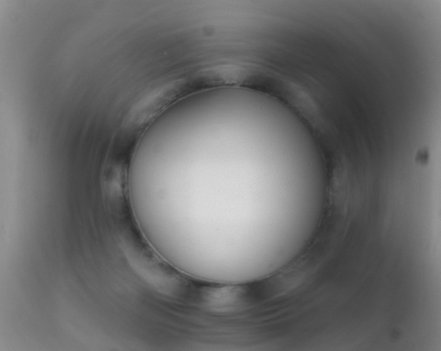 X0000112200122200908141443