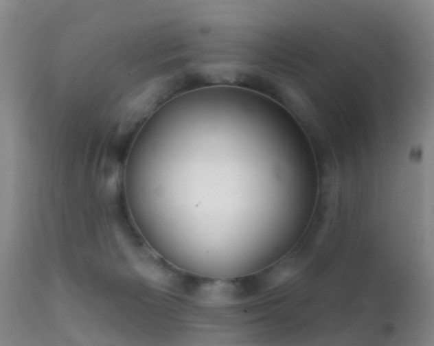 X0000112200125200908141443