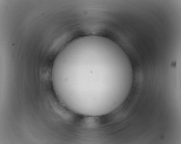 X0000112200126200908141443