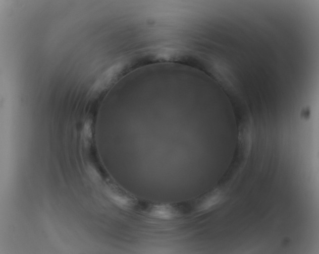 X0000112200127200908141443