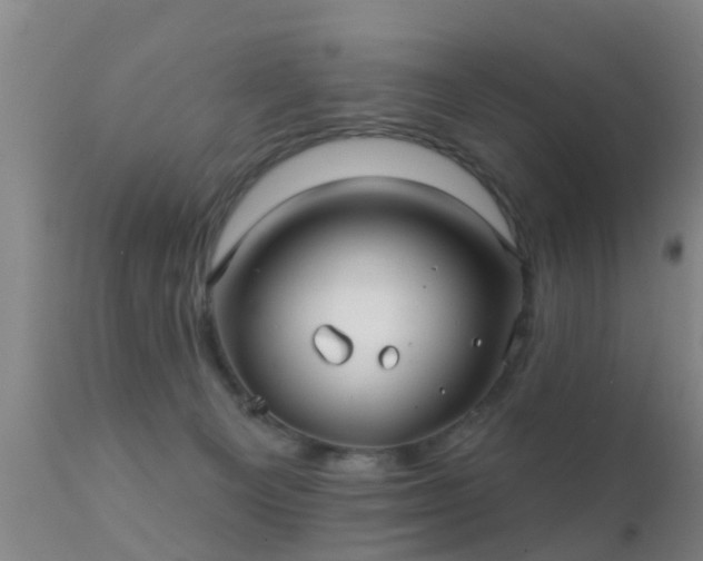 X0000112200129200908141443