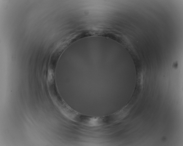 X0000112200130200908141443