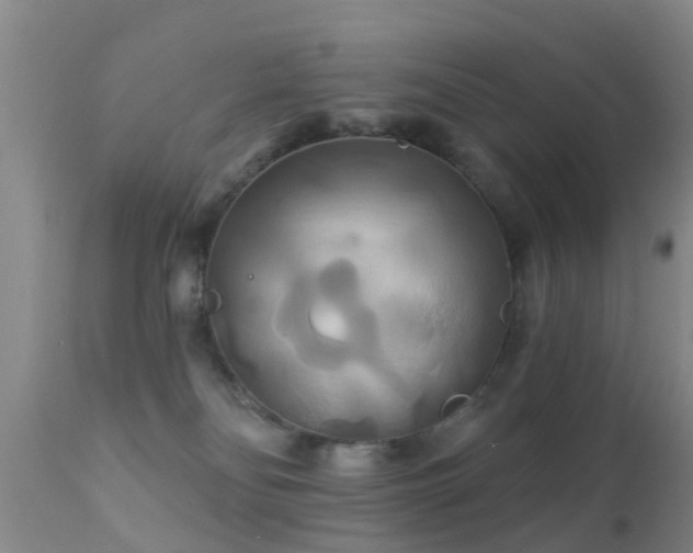 X0000112200134200908141443