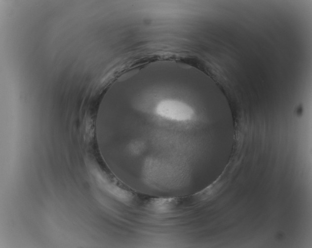 X0000112200136200908141443