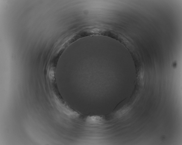 X0000112200137200908141443