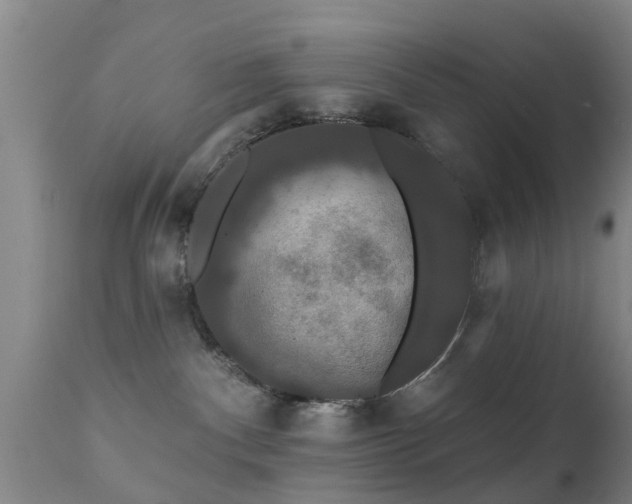 X0000112200140200908141443