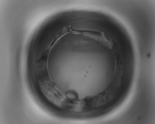 X0000112200143200908141443