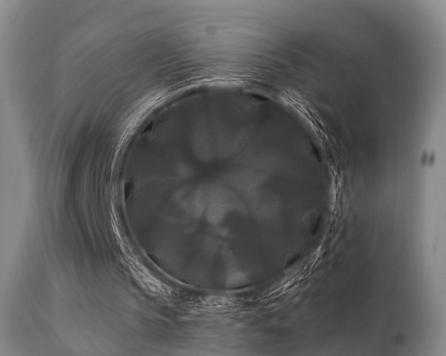 X0000112200145200908141442