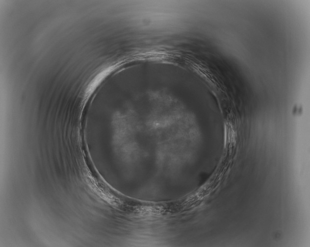 X0000112200147200908141442