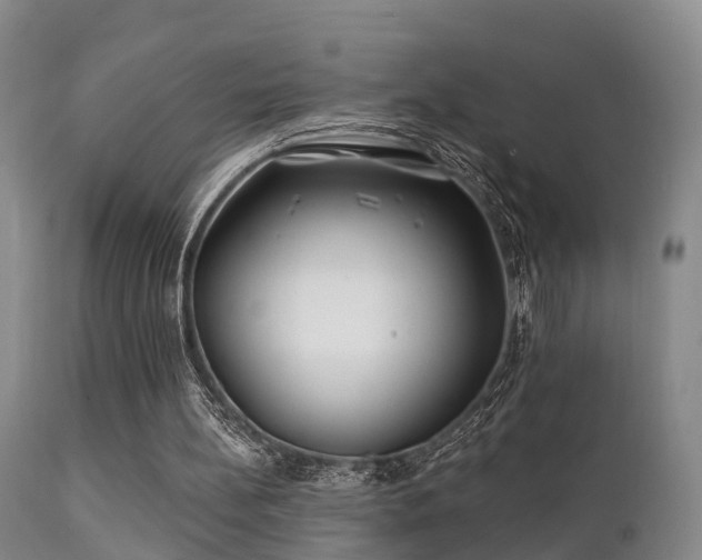 X0000112200148200908141442