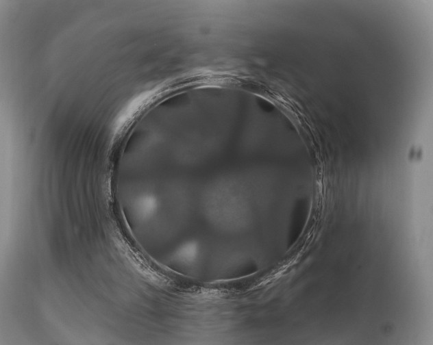 X0000112200149200908141442