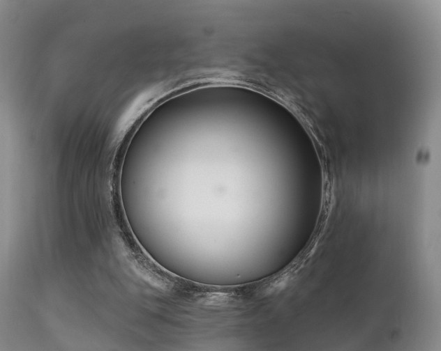 X0000112200151200908141442