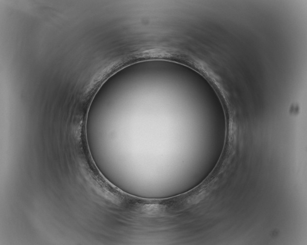 X0000112200153200908141442