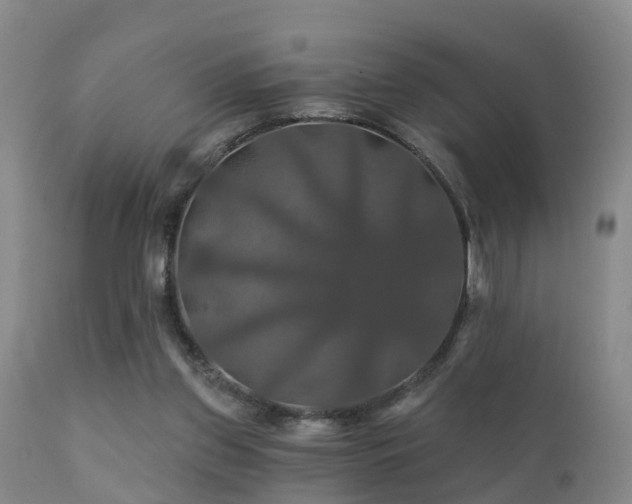 X0000112200157200908141442