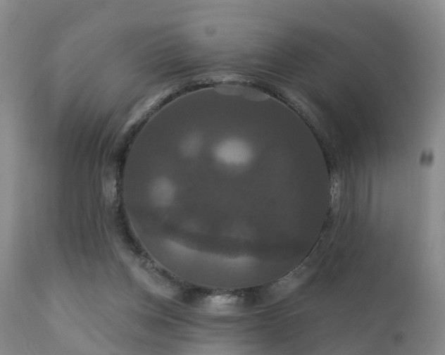 X0000112200158200908141442