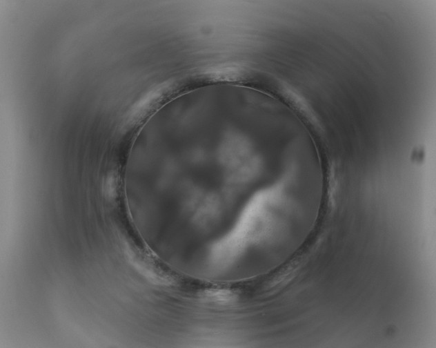 X0000112200161200908141442