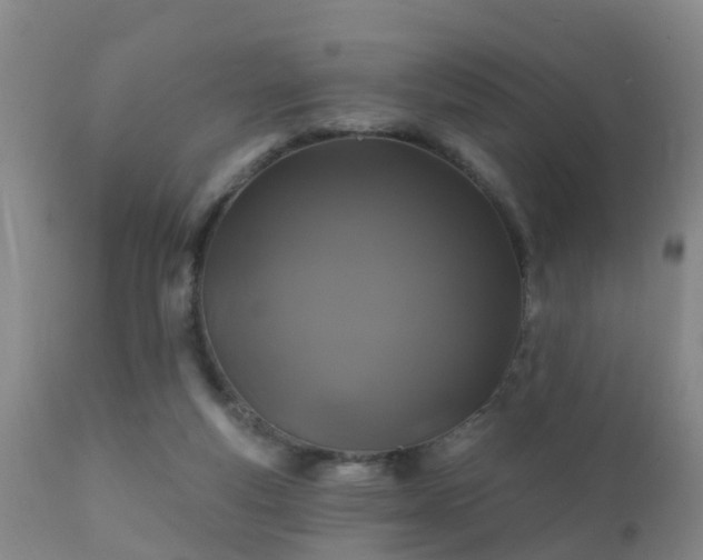 X0000112200163200908141442