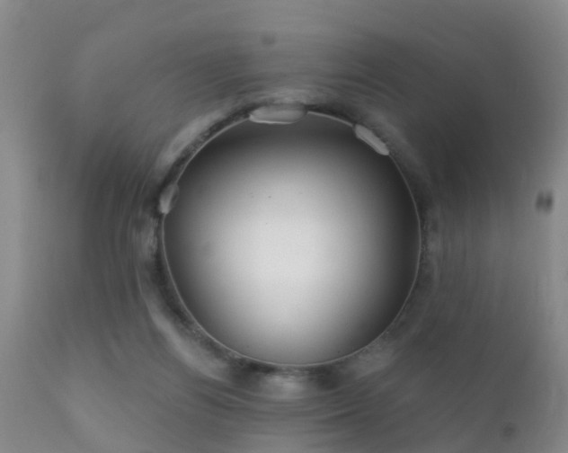 X0000112200164200908141442