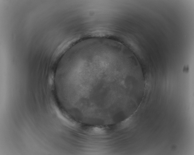 X0000112200166200908141442