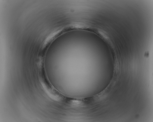 X0000112200167200908141442