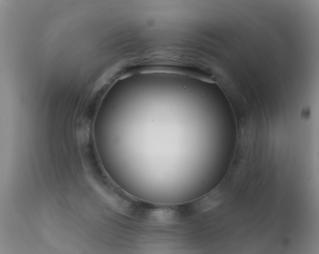 X0000112200168200908141442