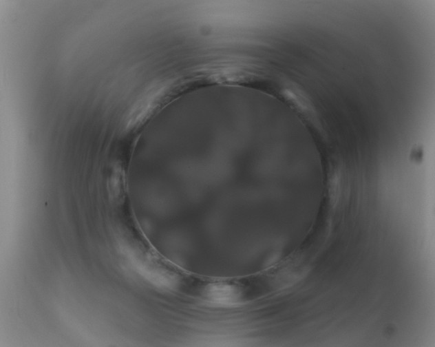 X0000112200169200908141442