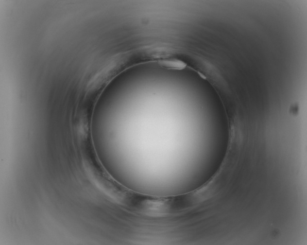 X0000112200170200908141442