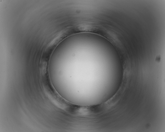 X0000112200171200908141442