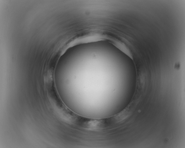 X0000112200172200908141442