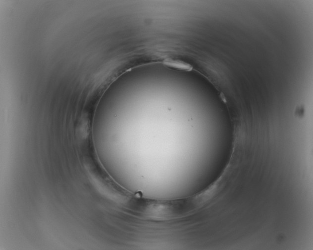 X0000112200174200908141442