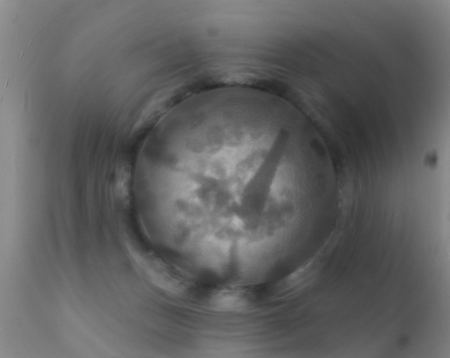 X0000112200175200908141442