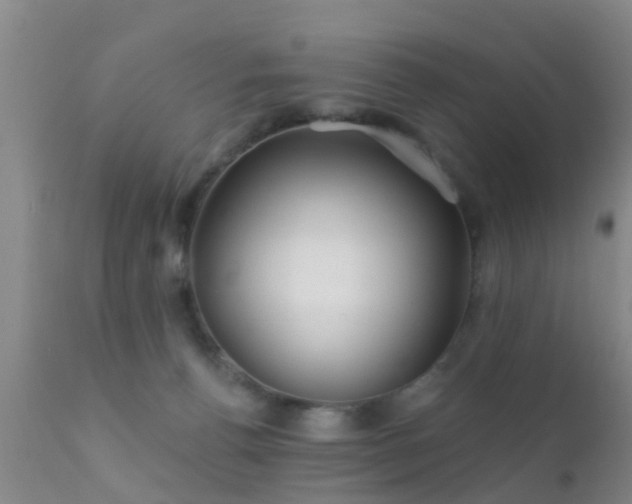 X0000112200176200908141442