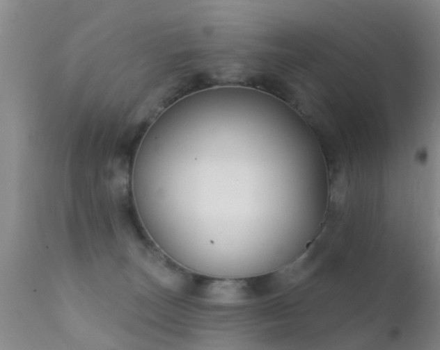 X0000112200179200908141442