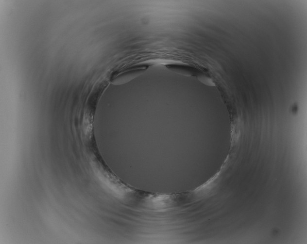 X0000112200186200908141443