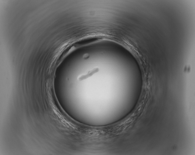 X0000112200193200908141442