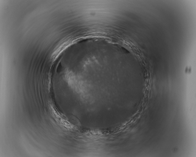 X0000112200194200908141442