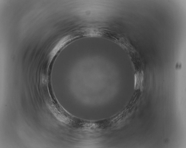 X0000112200195200908141442