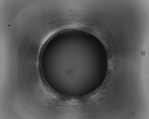 X0000112200196200908141442