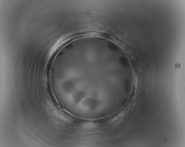 X0000112200198200908141442