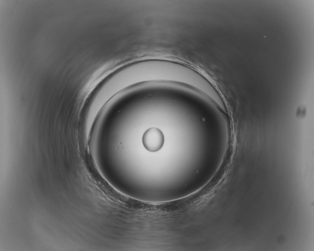 X0000112200199200908141442