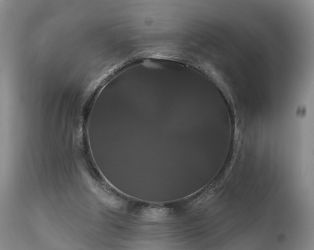 X0000112200202200908141442