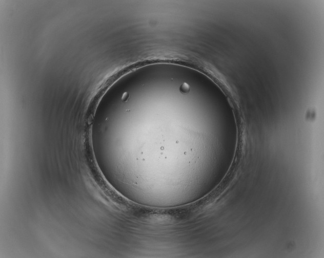 X0000112200203200908141442