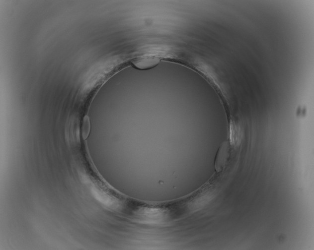 X0000112200205200908141442