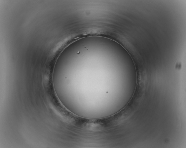 X0000112200208200908141442