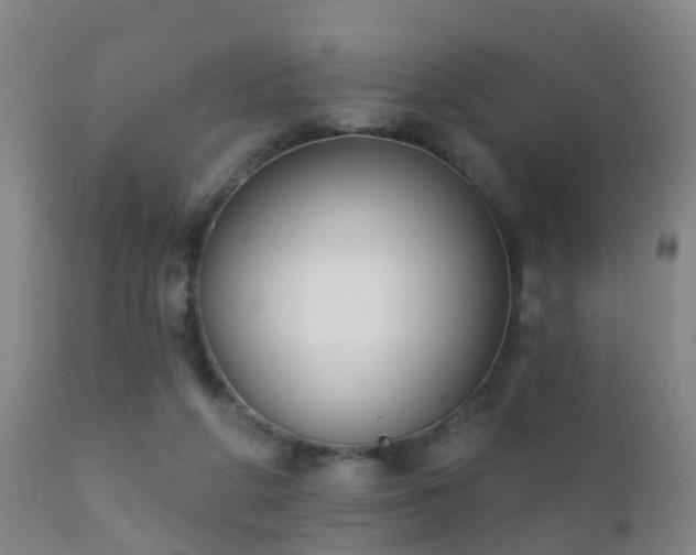 X0000112200210200908141442